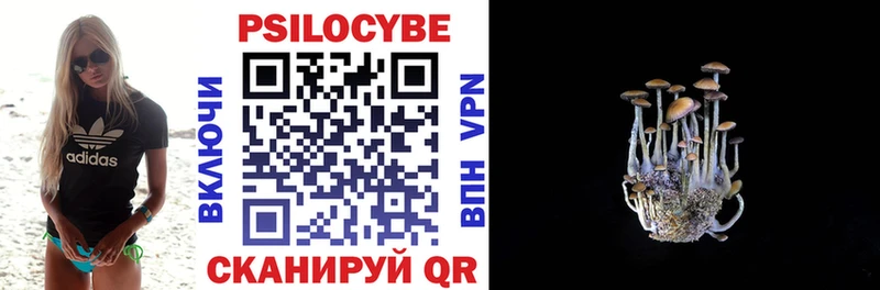 Псилоцибиновые грибы мицелий  ссылка на мегу ссылки  Трёхгорный  где можно купить  
